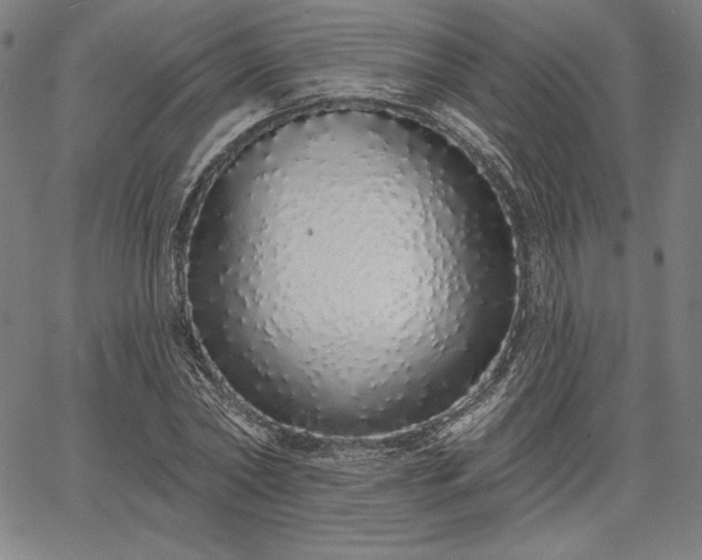 X0000067940782200604201404