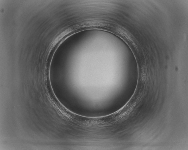 X0000067940786200604201404