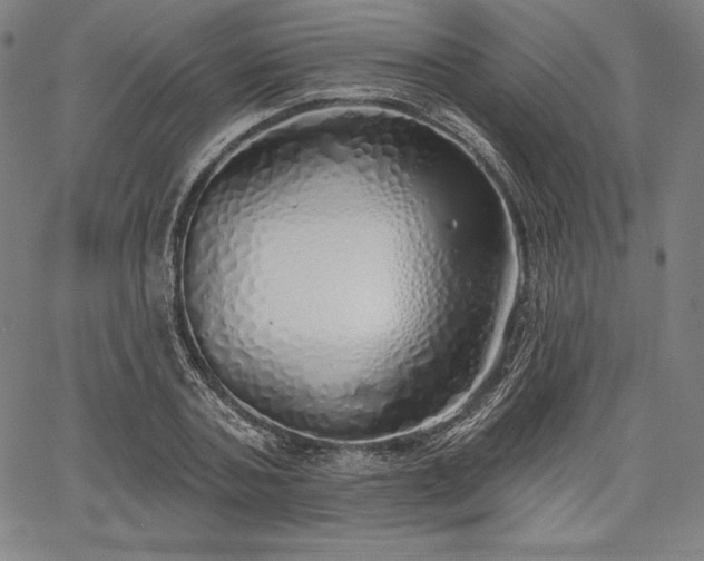 X0000067940787200604201404