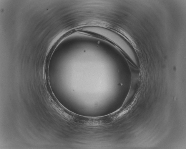 X0000067940788200604201404