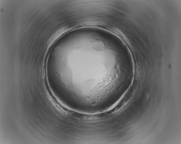 X0000067940795200604201404