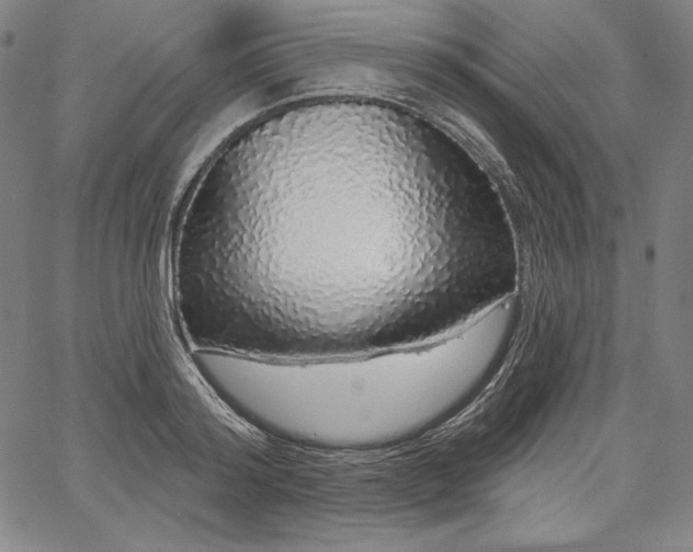 X0000067940796200604201404