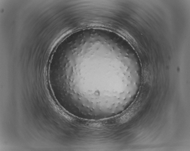 X0000067940798200604201404