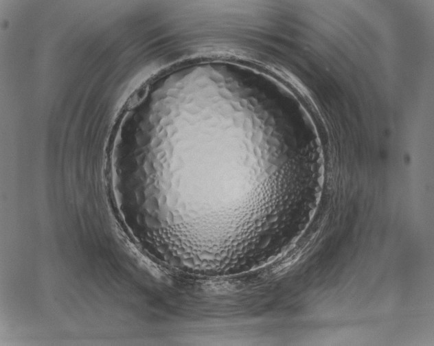 X0000067940799200604201404