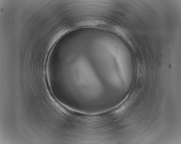 X0000067940802200604201404