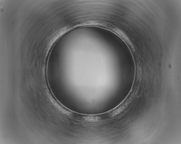X0000067940805200604201404