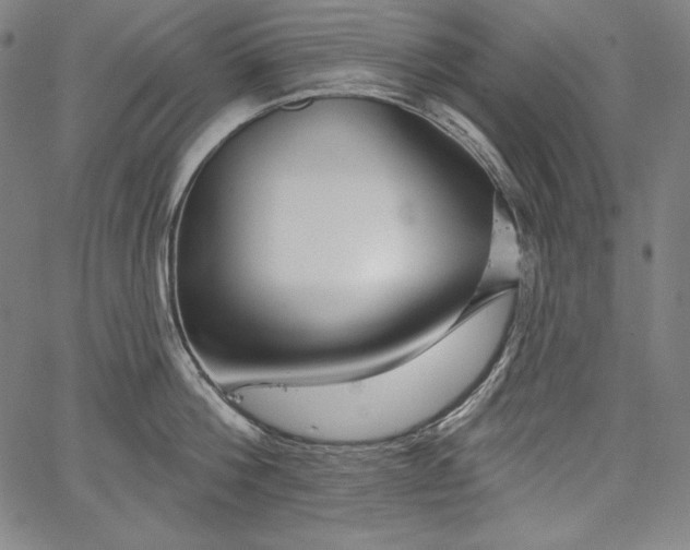 X0000067940812200604201404