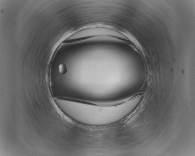 X0000067940813200604201404