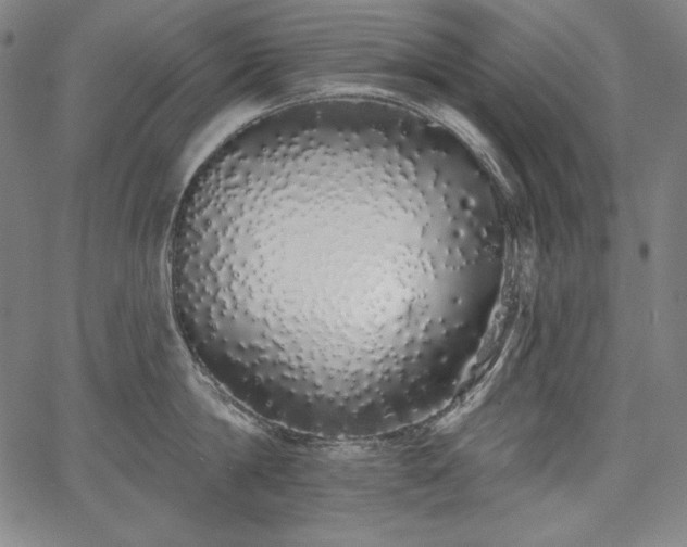 X0000067940814200604201404