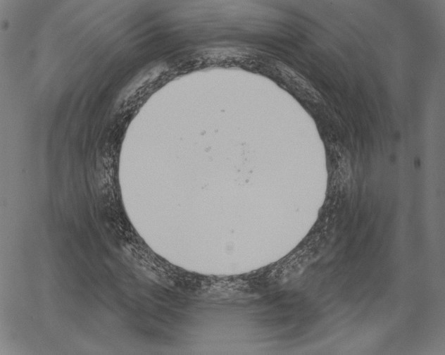 X0000067940824200604201403