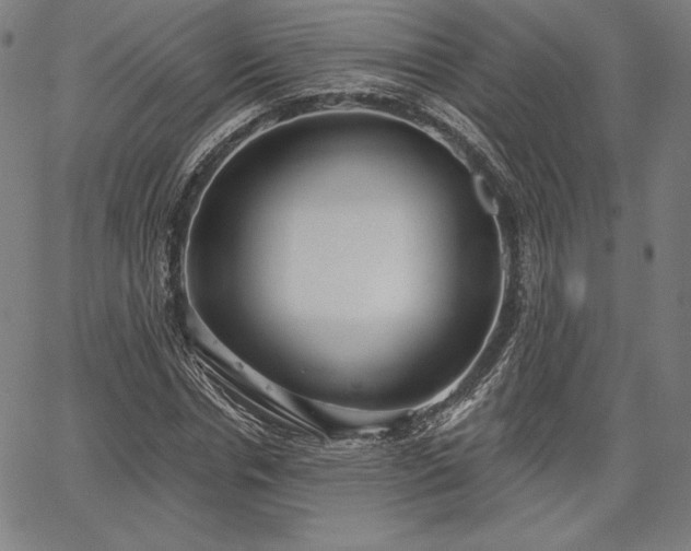 X0000067940826200604201403