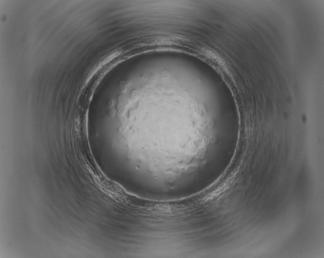 X0000067940827200604201403