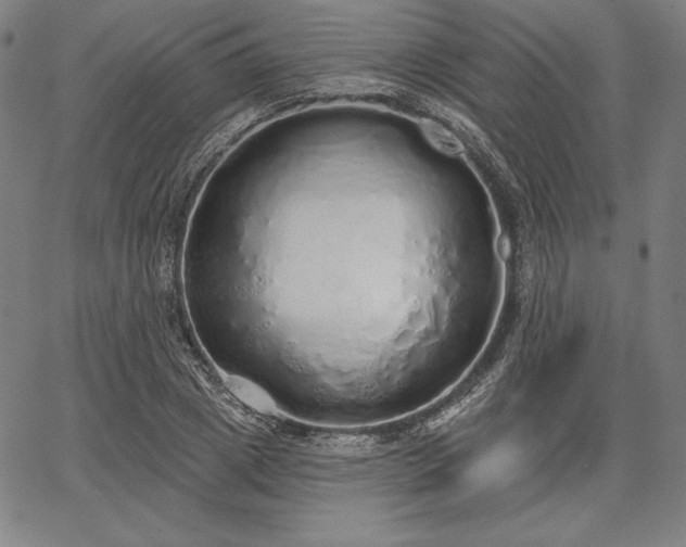 X0000067940833200604201403