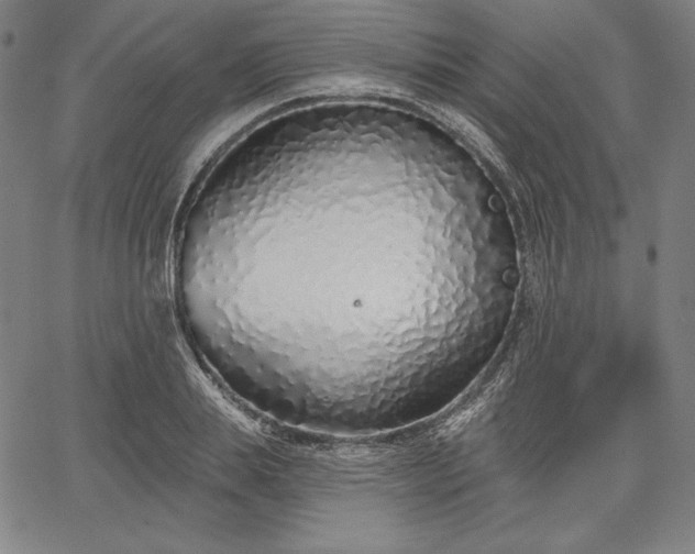 X0000067940839200604201403