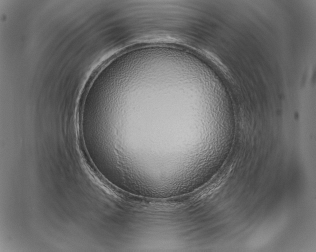 X0000067940840200604201403
