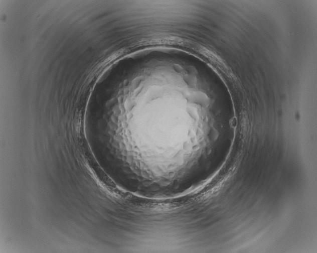 X0000067940841200604201403