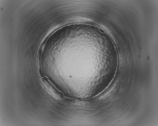 X0000067940843200604201403