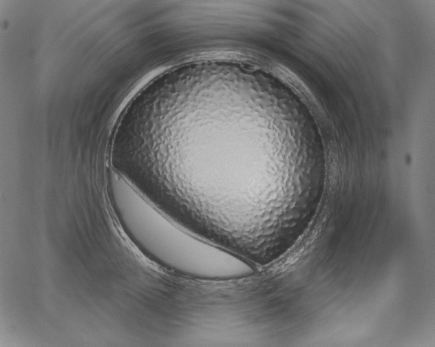 X0000067940852200604201404