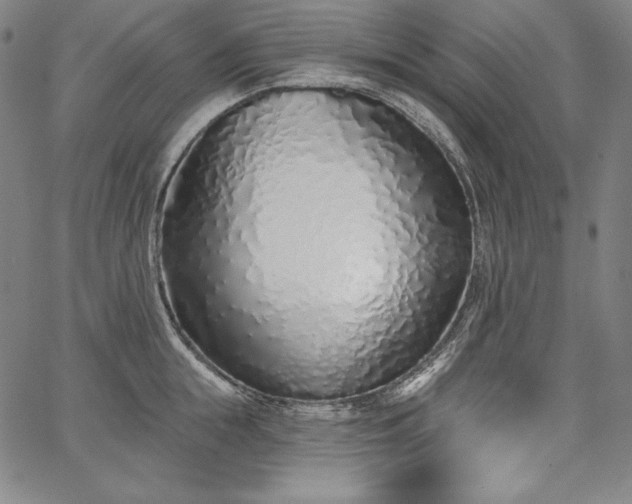 X0000067940855200604201404