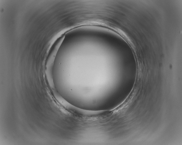 X0000067940862200604201404