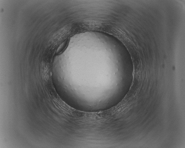 X0000067940866200604201403