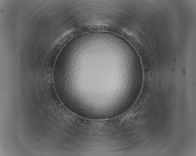 X0000067940870200604201403
