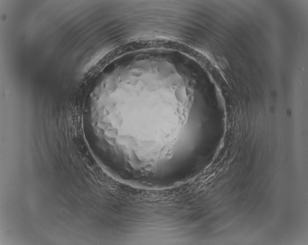 X0000067940871200604201403