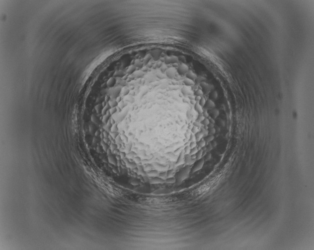 X0000067940875200604201403