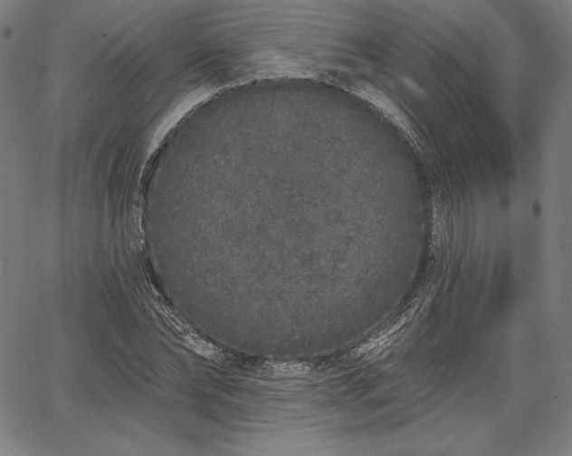 X0000067940878200604201403