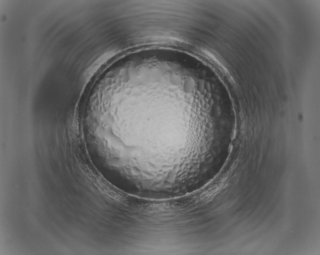 X0000067940883200604201403