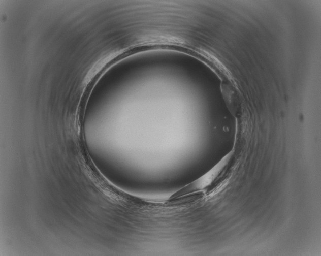 X0000067940885200604201403