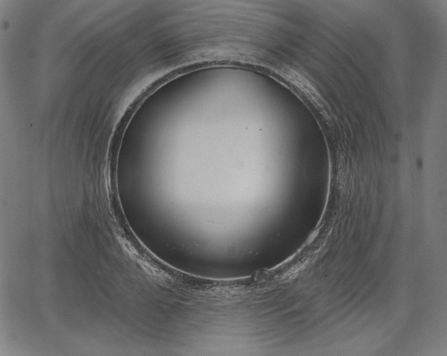 X0000067940888200604201403