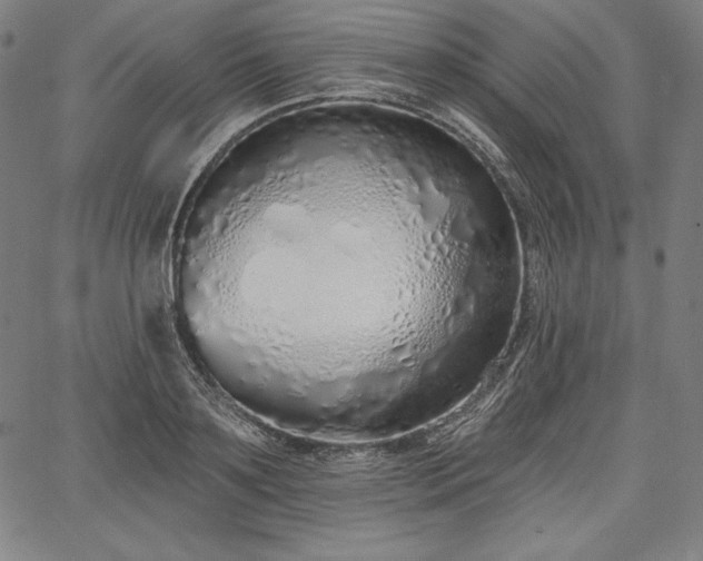 X0000067940891200604201403