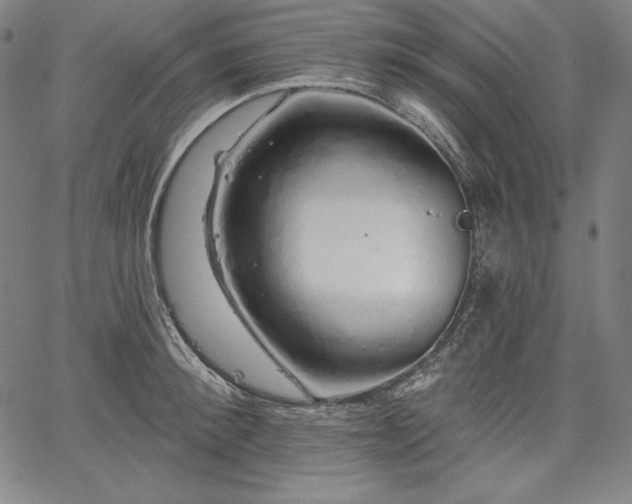 X0000067940900200604201402