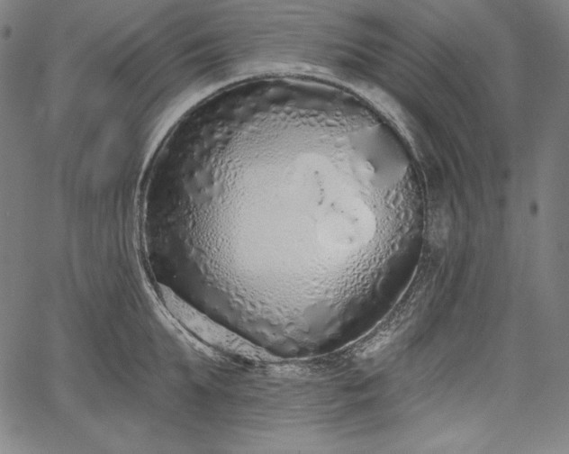 X0000067940903200604201402