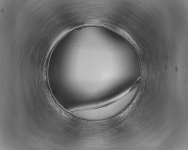X0000067940908200604201402