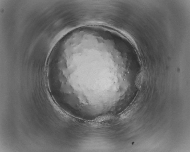 X0000067940911200604201402