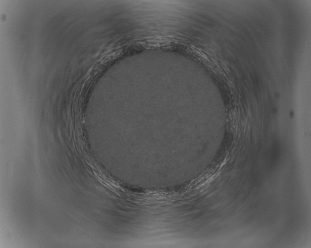 X0000067940913200604201401