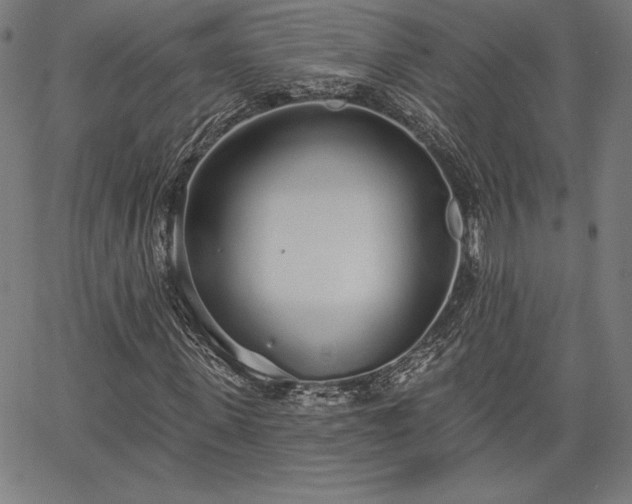 X0000067940915200604201401