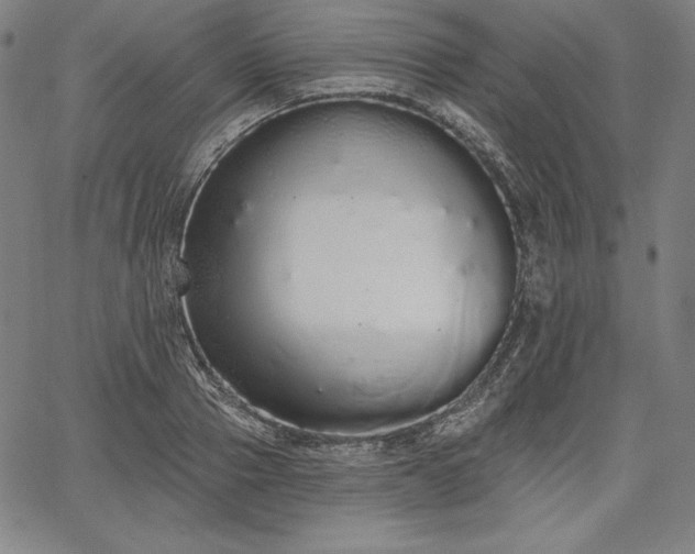 X0000067940937200604201402