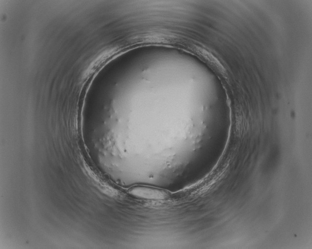 X0000067940938200604201402