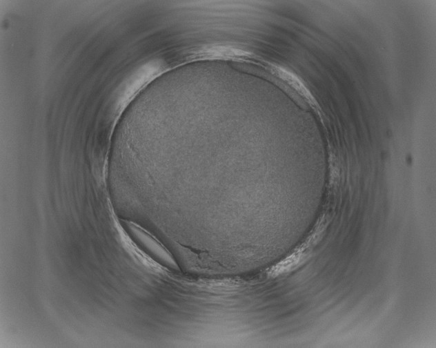X0000067940946200604201402