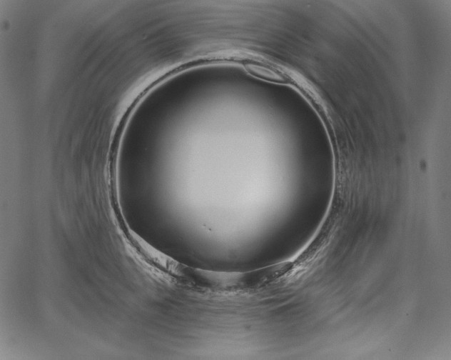 X0000067940951200604201402
