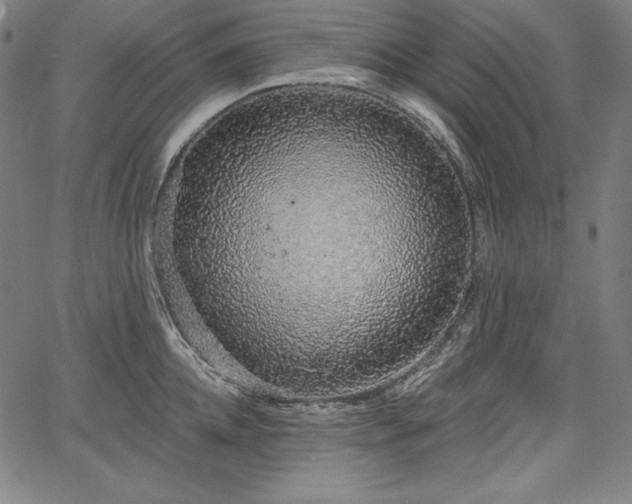 X0000067940952200604201402