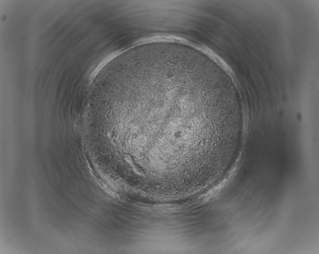 X0000067940953200604201402