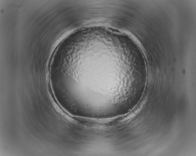 X0000067940957200604201402
