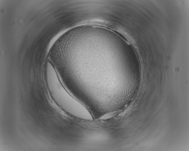 X0000067940960200604201402
