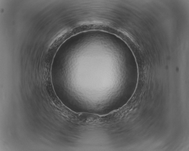 X0000067940967200604201401