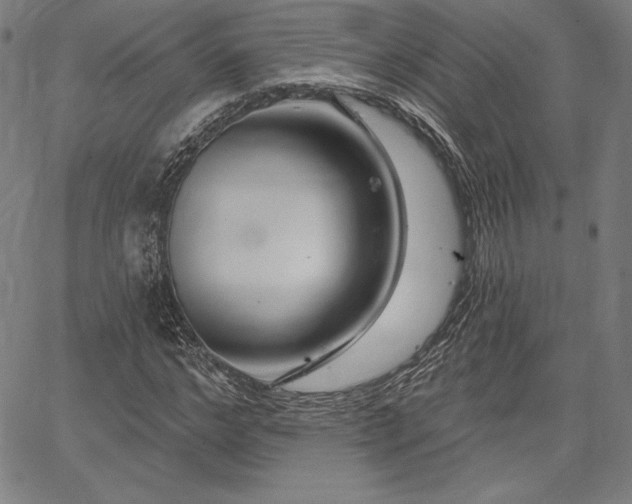 X0000067940968200604201401