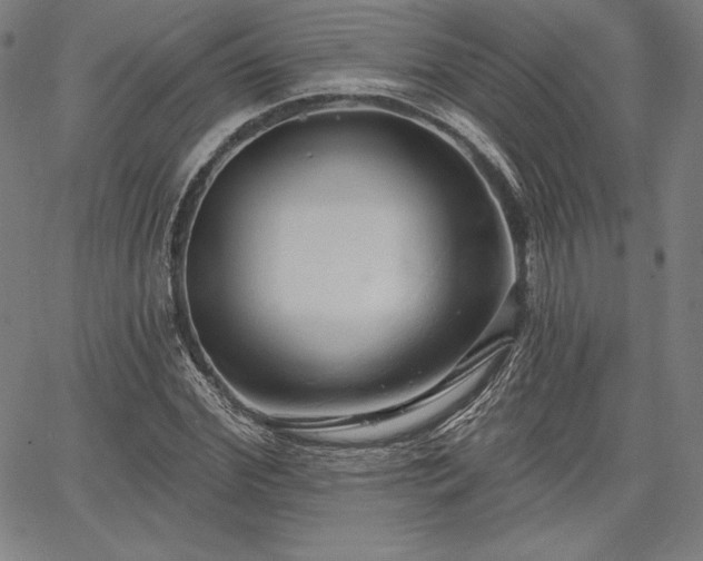 X0000067940972200604201401